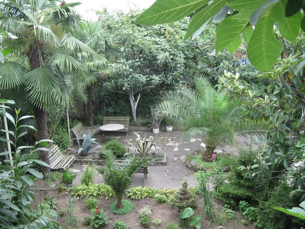 Guesthouse 97 In Batumi Zewnętrze zdjęcie